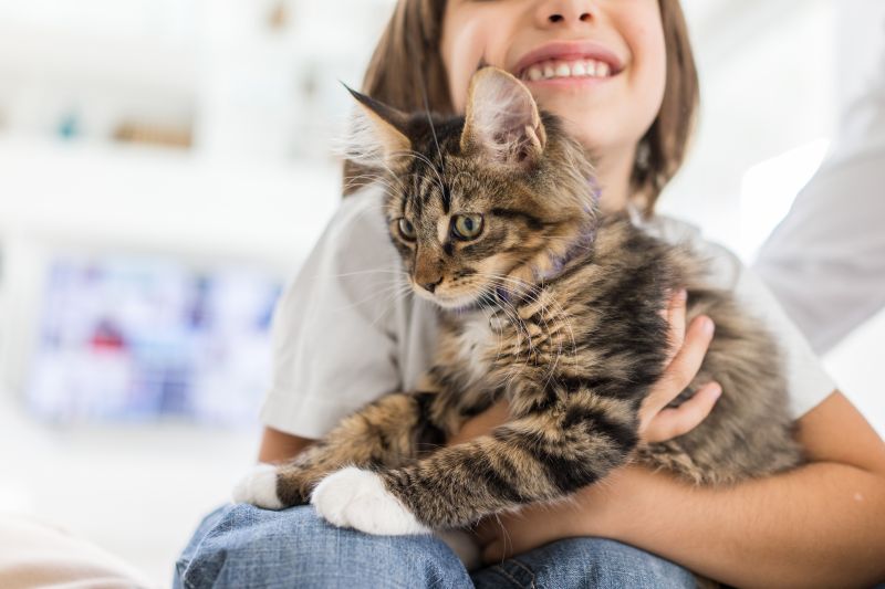 Crianças e gatos