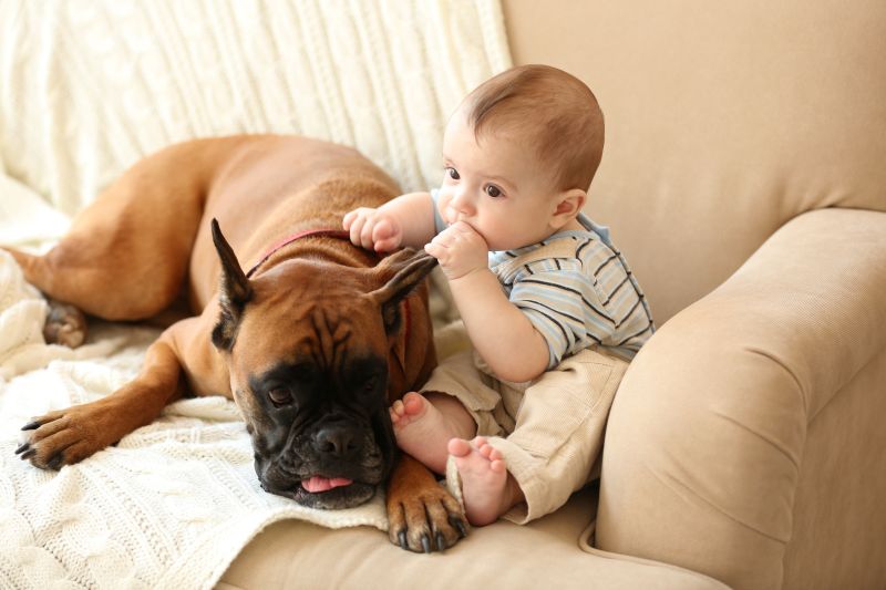 Crianças e cães