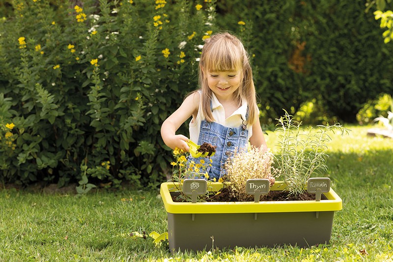 Menina cultiva ervas aromáticas